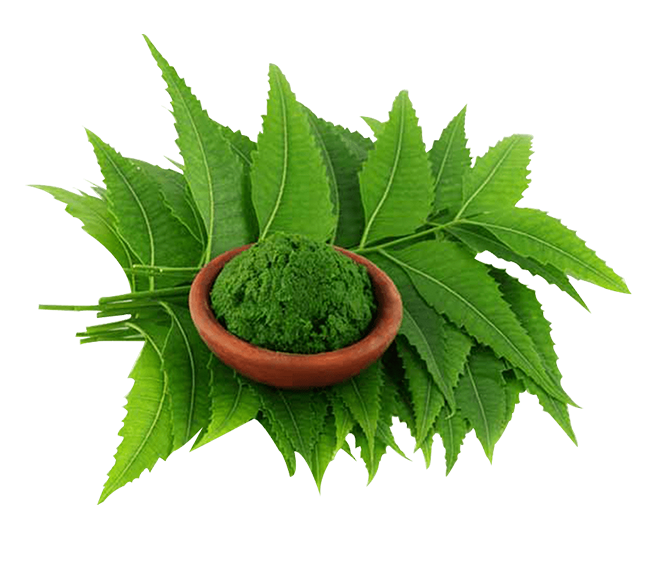 herbal-pure-product-7